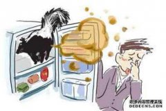 电冰箱有异味怎么回事？看看是不是这些原因