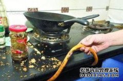煤气罐回火是怎么回事，先看看是不是这里有毛病
