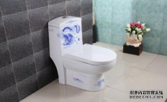 安装马桶用什么胶？这几种胶比较常用