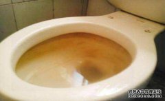 厕所马桶堵了怎么疏通？先工具再方法技巧