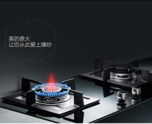 <b>燃气灶什么牌子好</b>