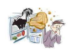 电冰箱哪个牌子好？小编给你推荐一款